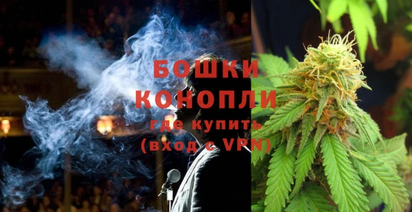 молекула духа Дмитров