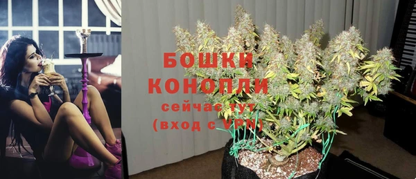 молекула духа Дмитров
