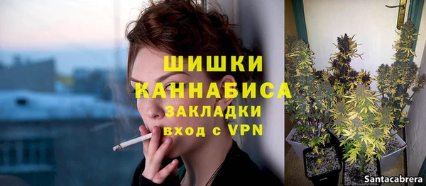 молекула духа Дмитров