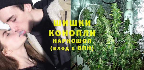 амф Гусь-Хрустальный