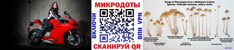 Галлюциногенные грибы Cubensis Лермонтов